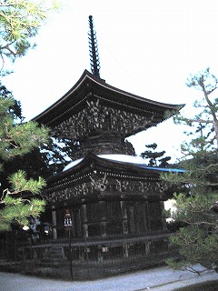 ���i�t�M_�q����