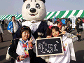 0291_thumb.gif